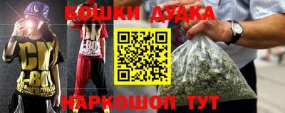 прущие грибы Можайск