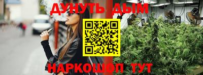 прущие грибы Можайск