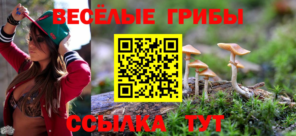 Псилоцибиновые грибы Magic Shrooms  Галлюциногенные грибы прущие грибы  купить закладку  Вход с VPN  Борзя 